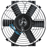 Davies Craig Thermatic Fan Short