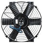 Davies Craig Thermatic Fan Short
