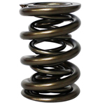 Manley, NexTek Roller Valve Springs, 1.677