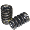 Valve Springs