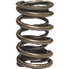 Howards Cams Hydraulic Roller/Mechanical Flat Tappet Valve Springs, 1.440