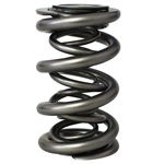 Howards Cams, Pacaloy Mechanical Roller Springs w/ Special Processing, 1.681