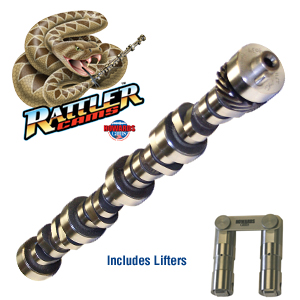 Retrofit roller cam ford