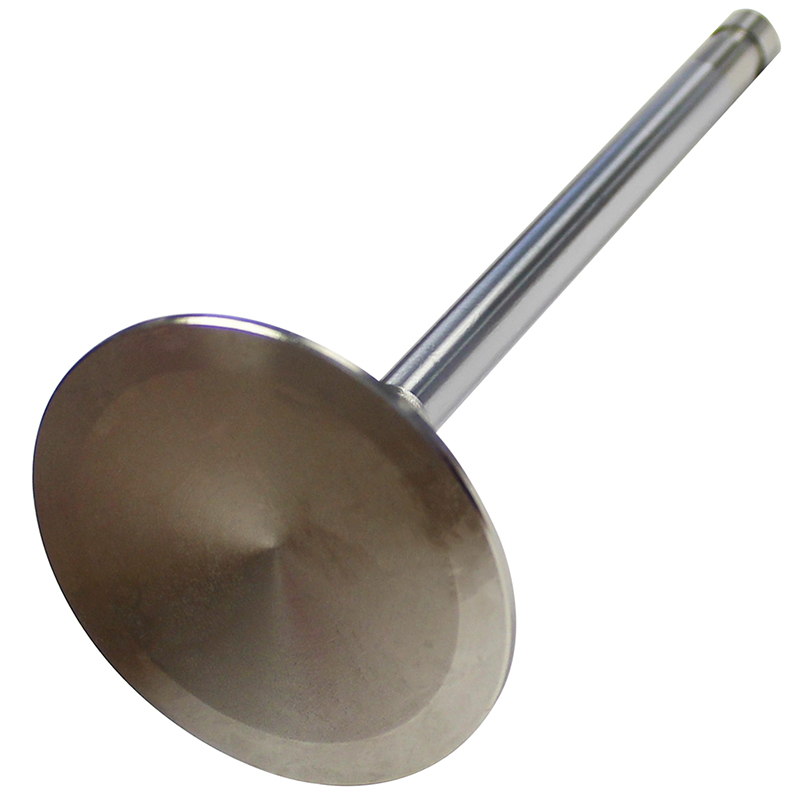 Severe Application Valve, Chevrolet BB, 11/32
