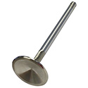 Chev LS1 Stainless Steel Racing Valves