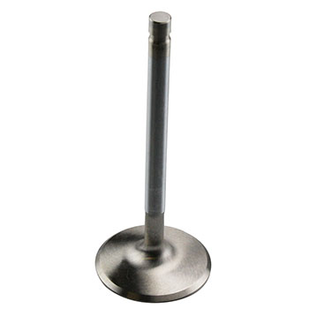 Competition Products Severe Application Valve, Chevrolet BB, 11/32