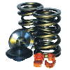 Valve Spring Packages