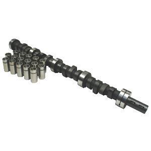 AMC V8 Cam and Lifter Kits