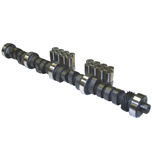 Ford 302 cam lifters #5