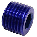 Allen Head Pipe Plugs