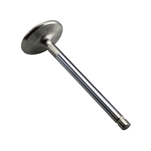 Ford BB Valves