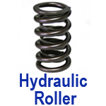 Hydraulic Roller Valve Springs