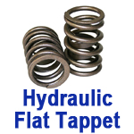 Hydraulic Flat Tappet Valve Springs