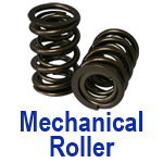 Mechanical Roller Valve Springs