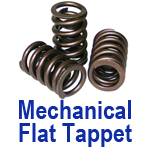 Mechanical Flat Tappet Valve Springs