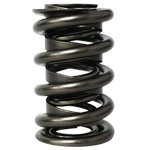 PAC, Roller Valve Springs, 1.550