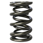 PAC, Roller Valve Springs, 1.625