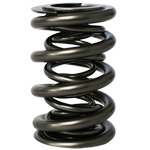 PAC, Roller Valve Springs, 1.645