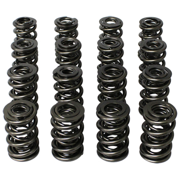 PAC, Roller Valve Springs, 1.645