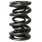 PAC, Roller Valve Springs, 1.645