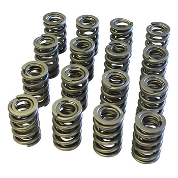 PAC, Roller Valve Springs, 1.550