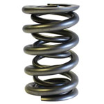 PAC, Roller Valve Springs, 1.550