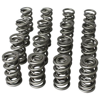 PAC, Roller Valve Springs, 1.500