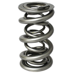 PAC, Roller Valve Springs, 1.681