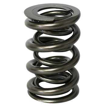 PAC, Roller Valve Springs, 1.625
