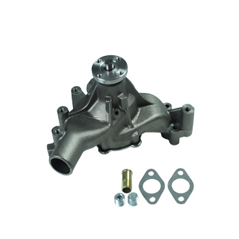 Dayco, Water Pump, Heavy Duty, Cast Iron, Each