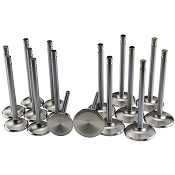 Power Products, Stainless Steel Performance Valve Set, Chev SB, 11/32