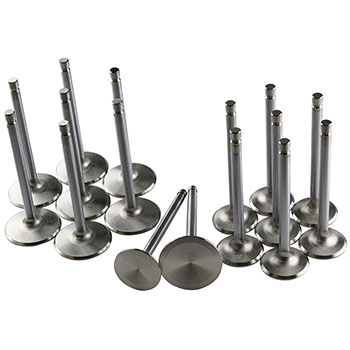 Power Products, Stainless Steel Performance Valve Set, Chev SB, 11/32