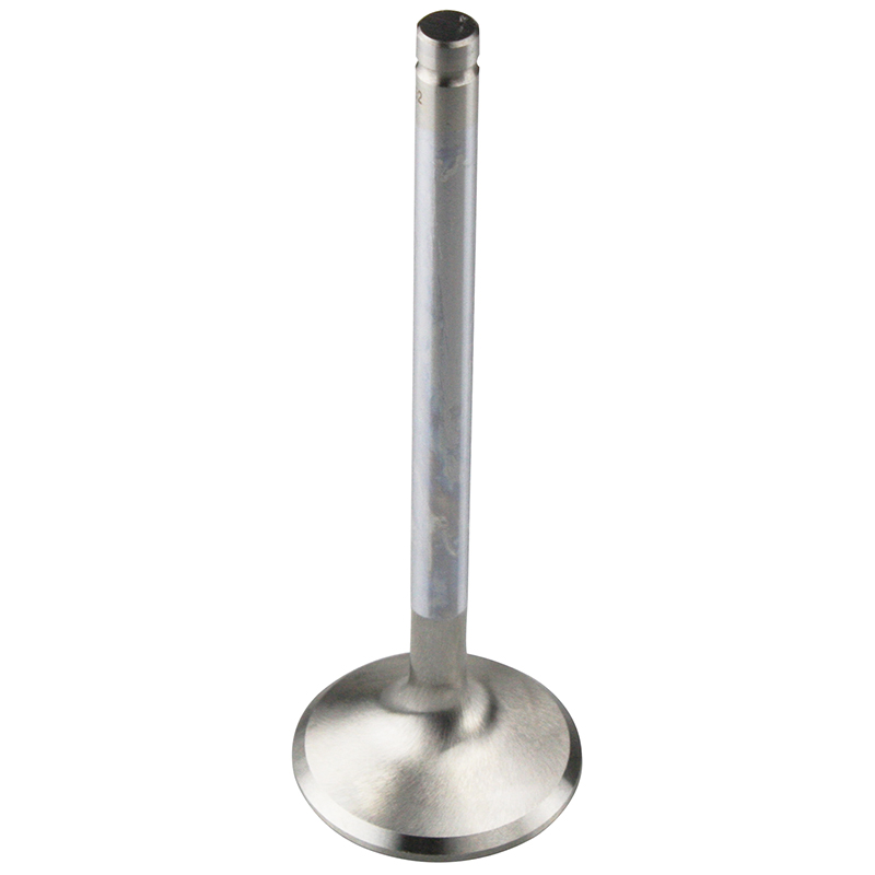 REV, Super Duty Competition Valve, Chevrolet Gen III LS1 / LS6 / L92, 8mm, 1.600